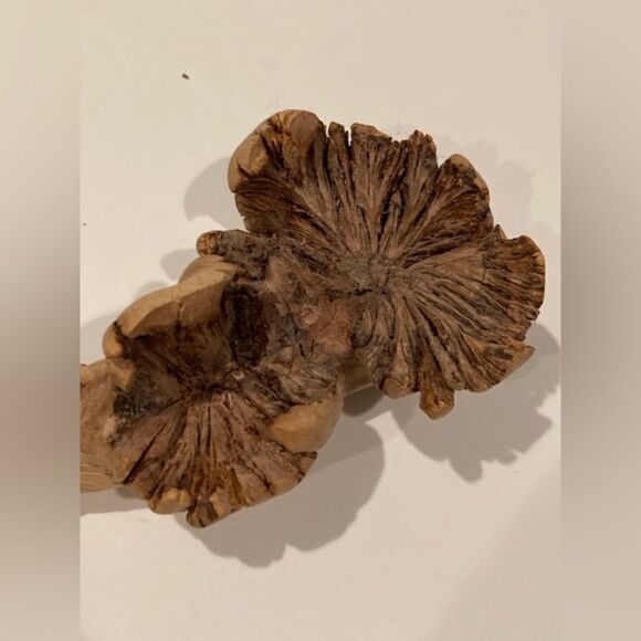 Hand Carved Fish On Wood Burl Folk Art Rustic 6” x 2” - Picture 6 of 9